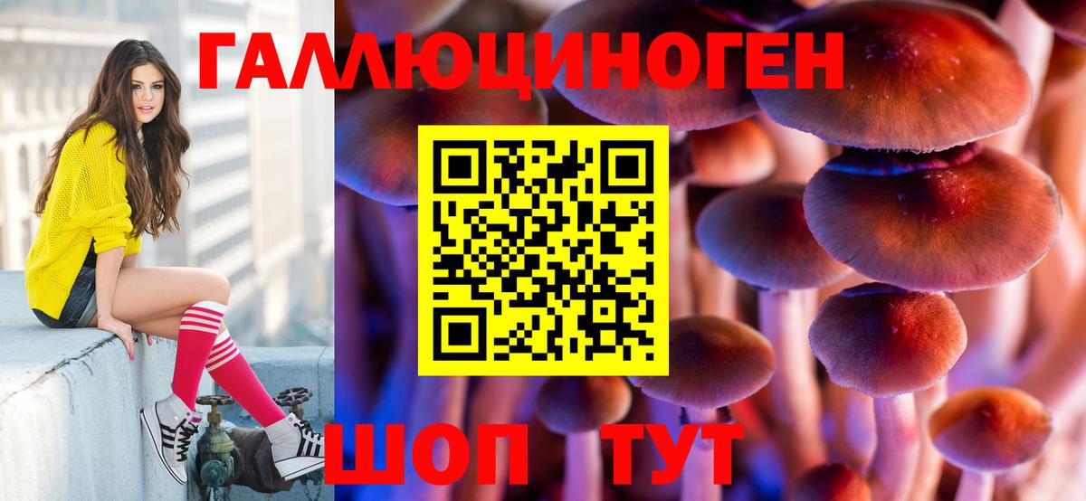 Новочебоксарск  купить наркотик  Вход с VPN  Псилоцибиновые грибы ЛСД 